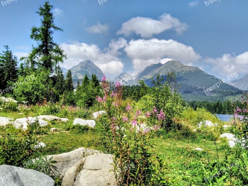 Strba Tarn Mountains Nature Vysoké Tatry Summer