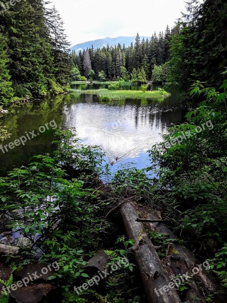 Vrbické Pleso Low Tatras Demänovská Dolina Free Photos