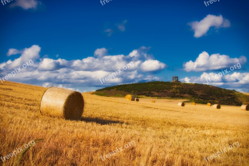 Straw Bales Harvest Straw Straw Role Sky