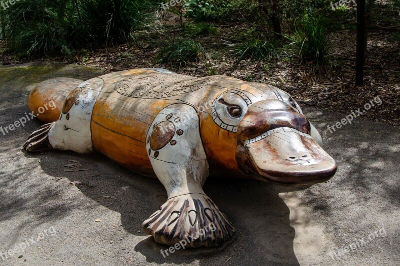 Platypus Mammal Monotreme Wooden Sculpture Sculpture