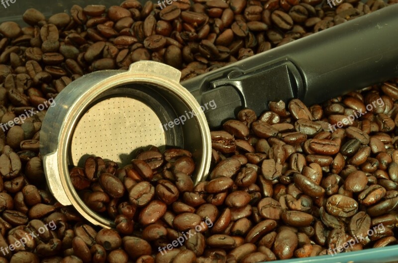 Coffee Coffee Beans Barista Caffeine Aroma