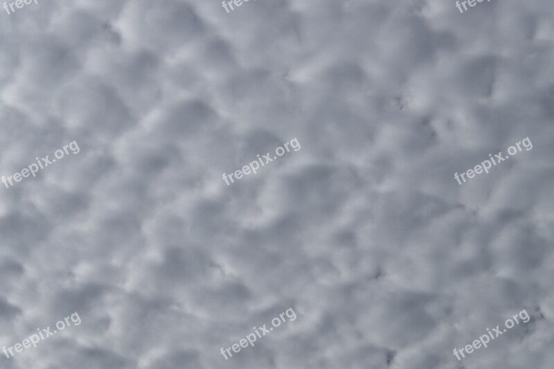 Clouds White Grey Fluffy Cirrocumulus