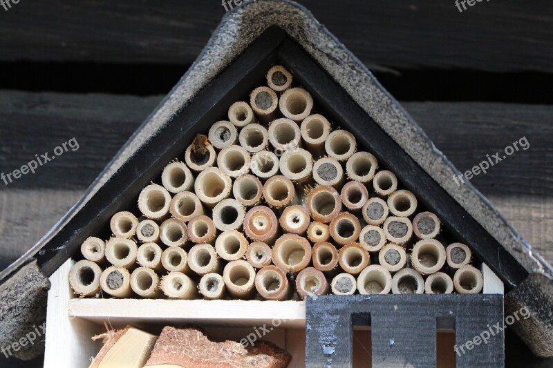 Summer Bee Hotel Insect Hotel Nature Outside Bee's Nest