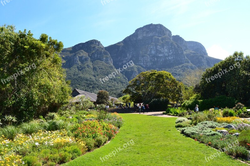 Garden Botanical Spring Park Kirstenbosch