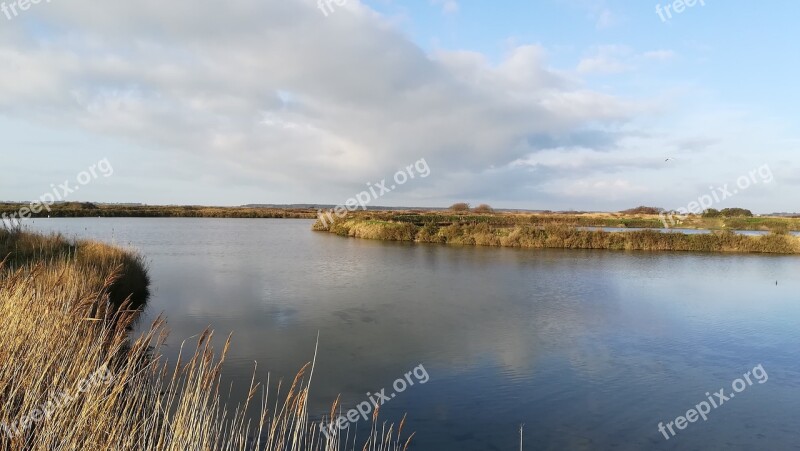 Salt Marshes Nature Water Landscape Free Photos