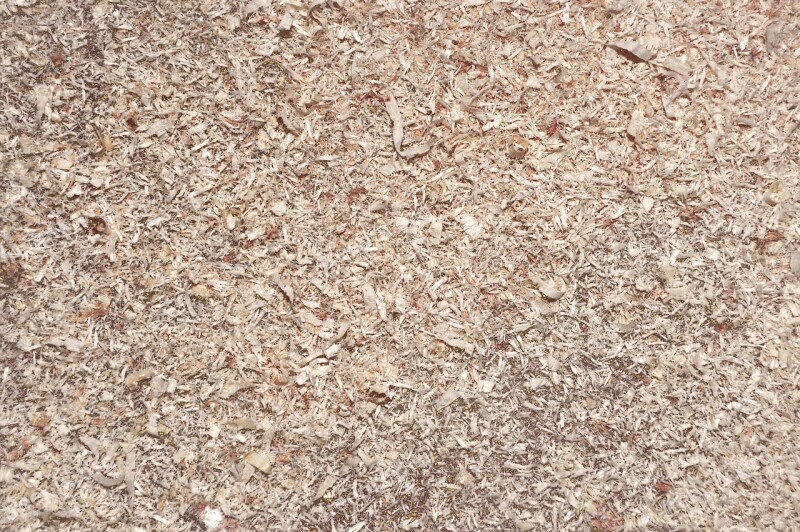 Wood Cutting Wood Chips Sawdust Wood Cut