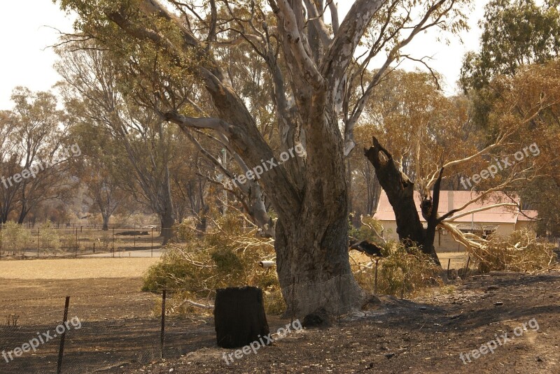 Bushfire Australia Landscape Free Photos