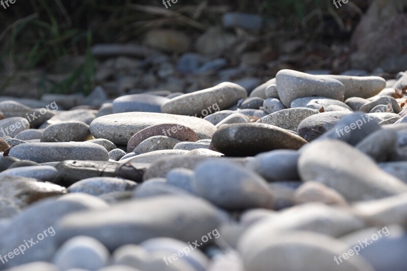 Roller Beach Corsican Wild Free Photos