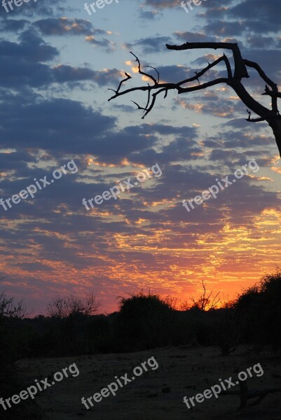 Sunrise Africa Botswana Free Photos