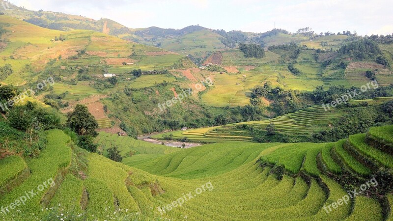 Rice Field Terraces Mountain Travel Natural