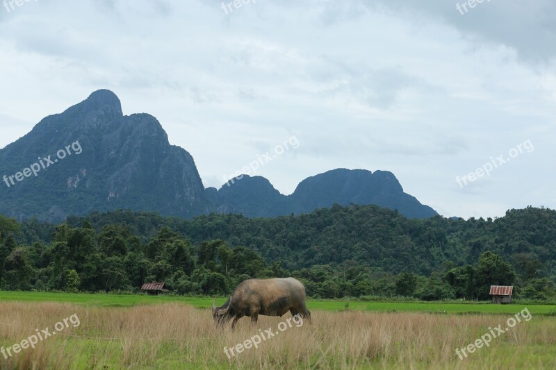 Laos Vang Vieng The Scenery Free Photos