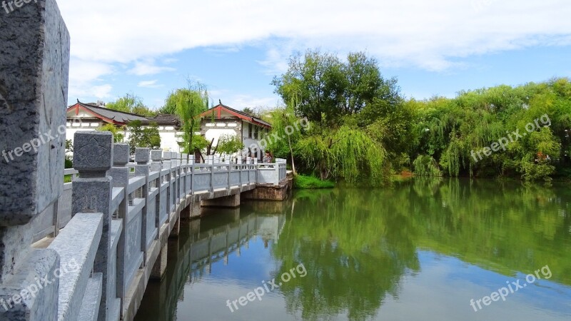 Tree Reflection Bridge Sky Symmetry