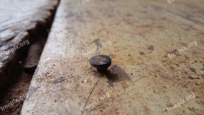 Nail Wood Rusty Preached Farm