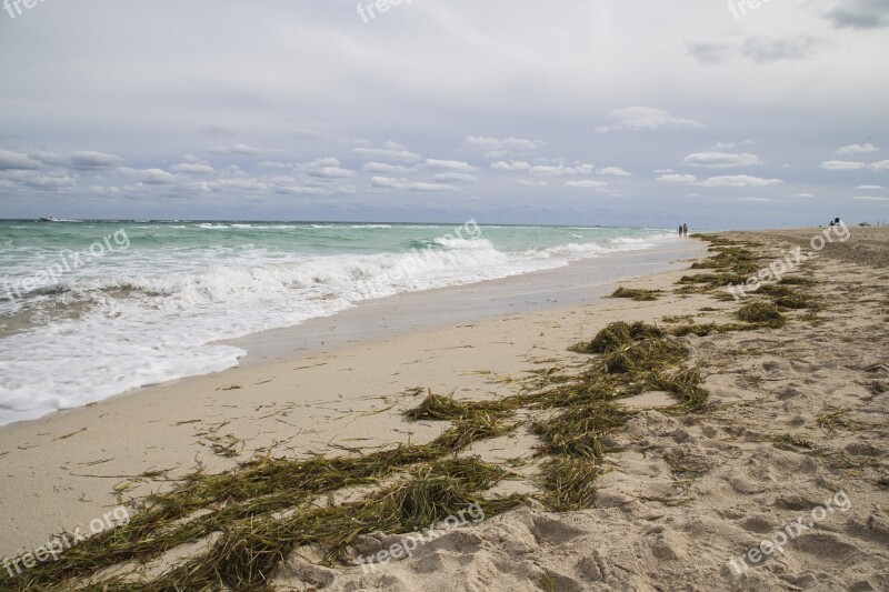 Beach Sand Orange Cloudy Palm