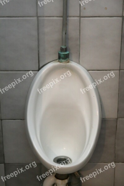 Bog Building Crapper Indoors Male