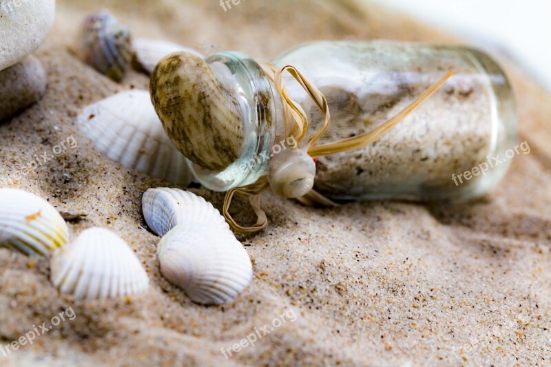 Message In A Bottle Mussels Bottle Sand Beach