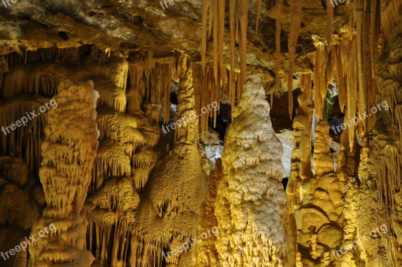 Roe Cave Gümüşhane Torul Discovery