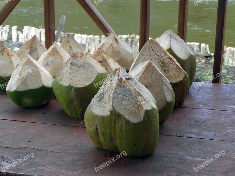 Coconut Water Travel Vacations Exotic