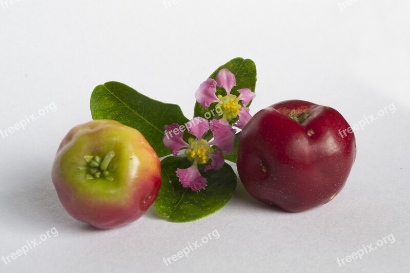 Red Fruit Fruit Frutas Frutas Vermelhas Verde