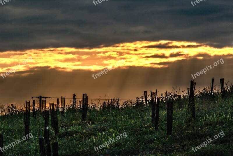 Poles Wood Sky Cloud Cloudy