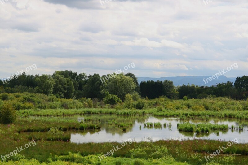 Nature Landscape Landscapes Of Course Forest