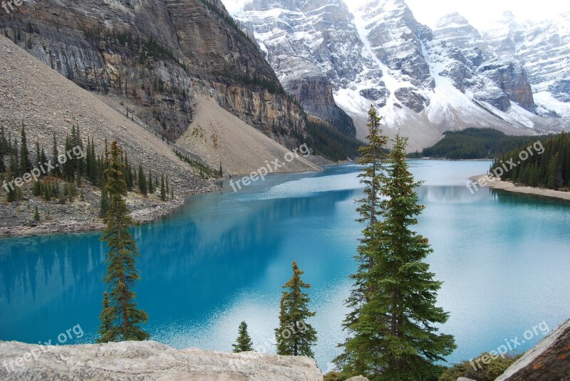 Banff Lake Blue Mountains Pine Trees