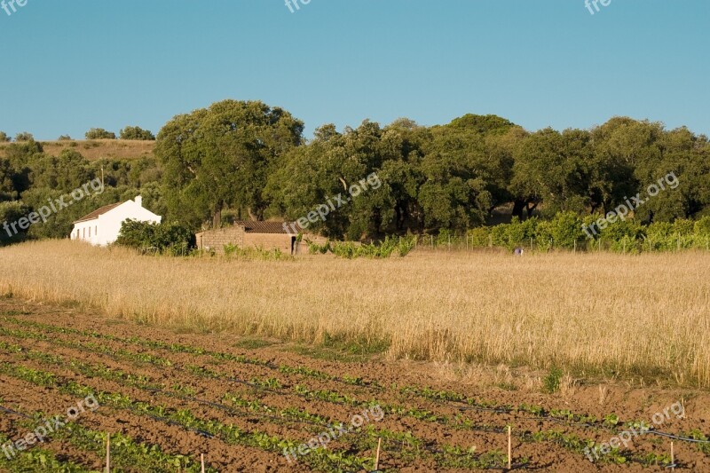 Countryside Alentejo Portugal Rural Free Photos