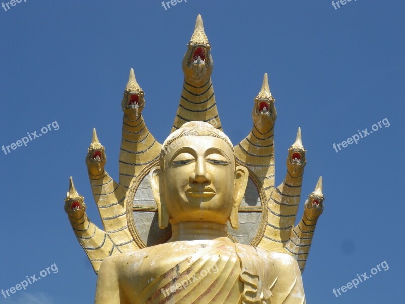 Buddah Snake Heads Thailand Free Photos