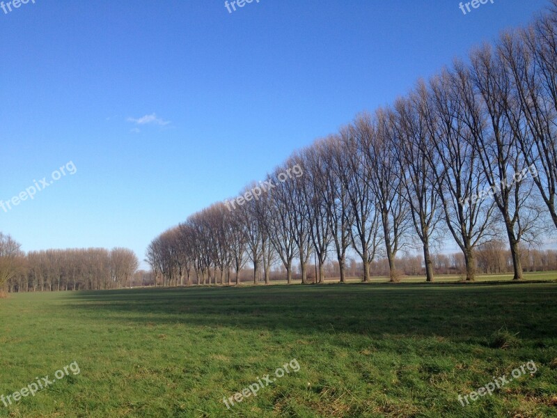 Trees Row Of Trees Landscape Niederrhein Free Photos