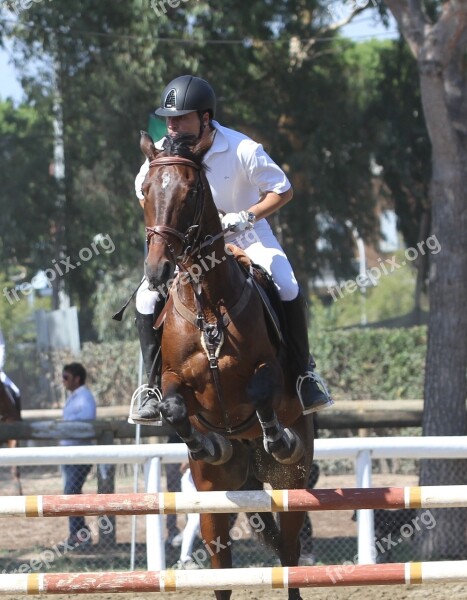 Horse Show Jumping Riding Free Photos