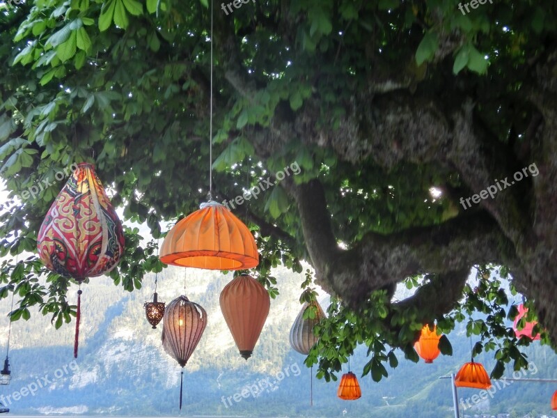 Chinese Lanterns Lamps Tree Shining Lamp Shades