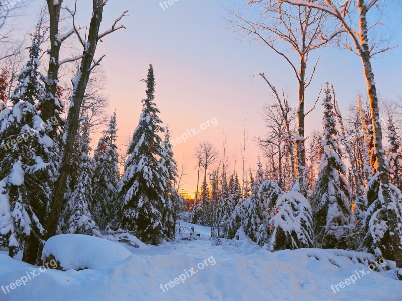 Dawn Winter Landscape Snow Morning