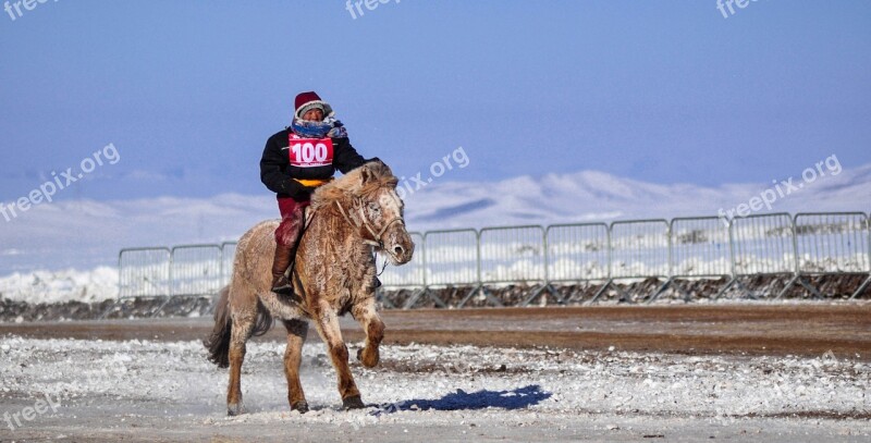 Horse Race Finish Line Winter Horseback Equine