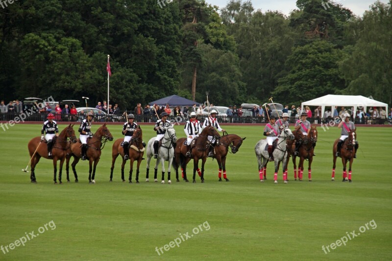 Polo Team Competition Horses Players