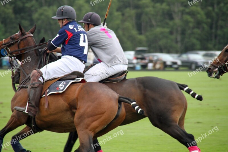 Polo Players Horses Sport Competition