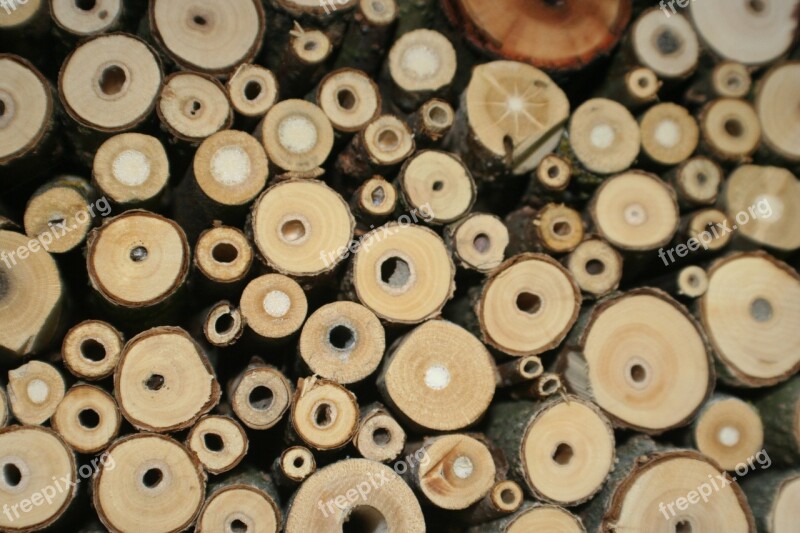 Insect Hotel Insect Breeding Help Bee Hotel Insect House