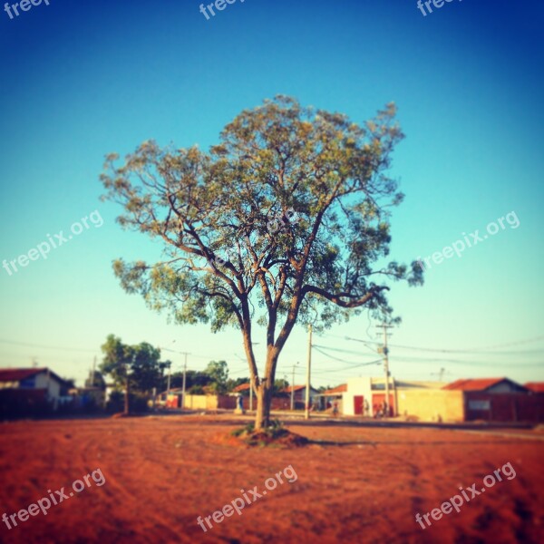 Flying Square Blue Sky Landscape Nature