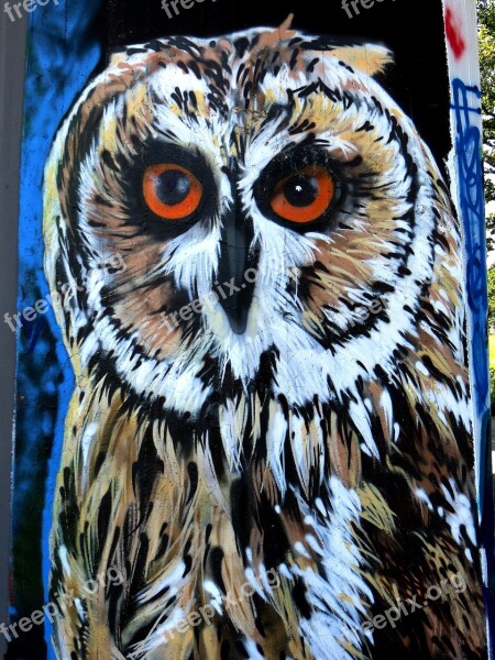 Graffiti Owl Bird Sprayer Urban