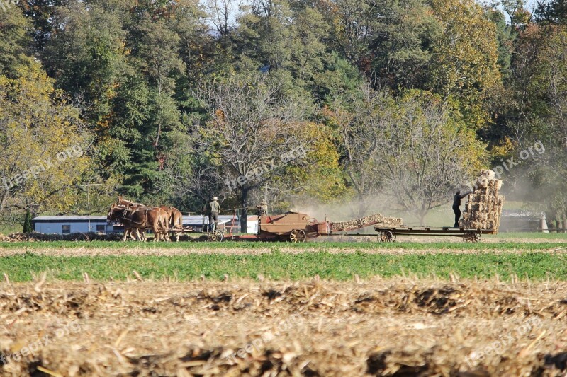 Amish Pennsylvania Farm Rural County