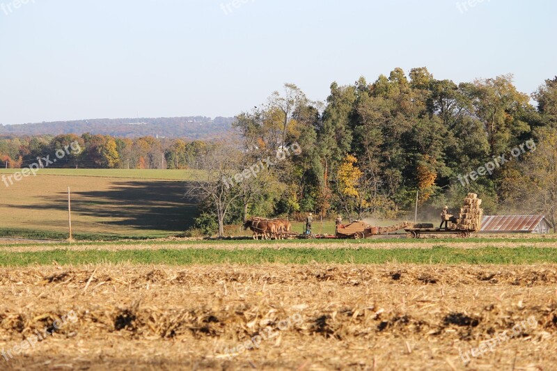 Amish Pennsylvania Farm Rural County