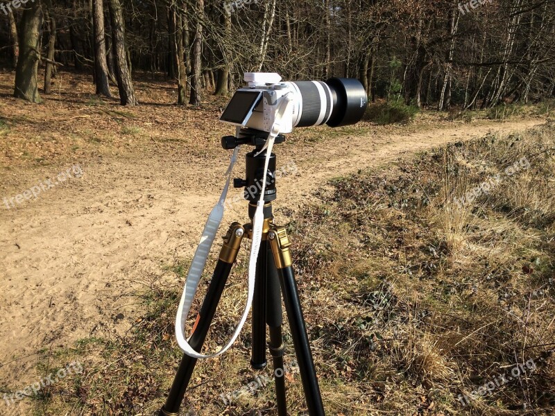 Camera Tripod Photograph Outdoor Telephoto Lens