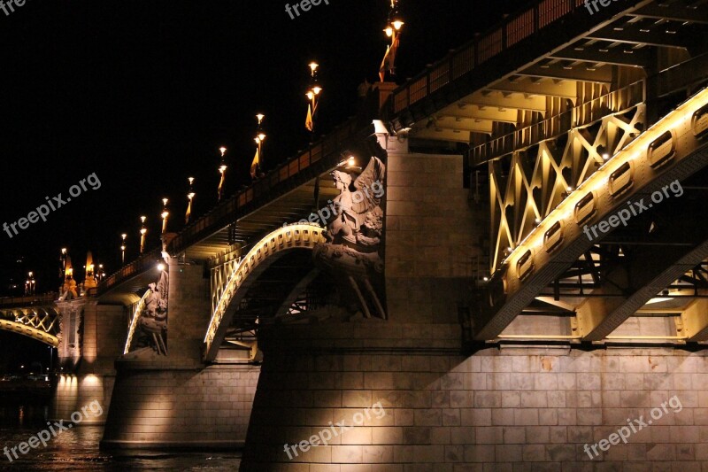 Bridge Budapest Margaret At Night Animal Lungs