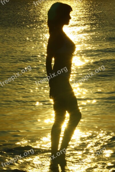 Zanzibar Silhouette Woman Sea Sunset