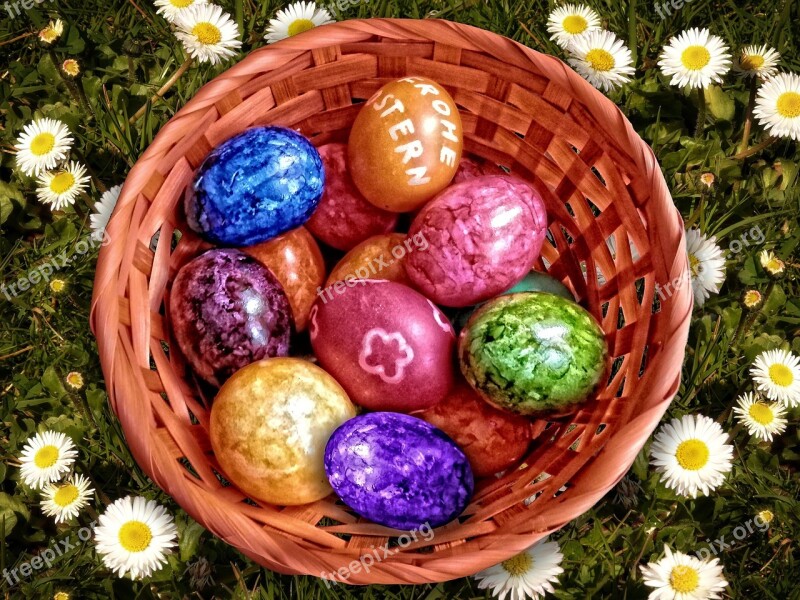 Easter Nest Easter Easter Eggs Colorful Basket