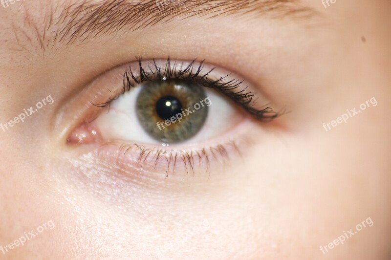 Eye Green Girl Close Up Face