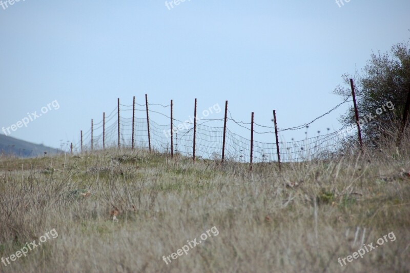 Fence Wire Fence Field Fence Barbed Wire Field