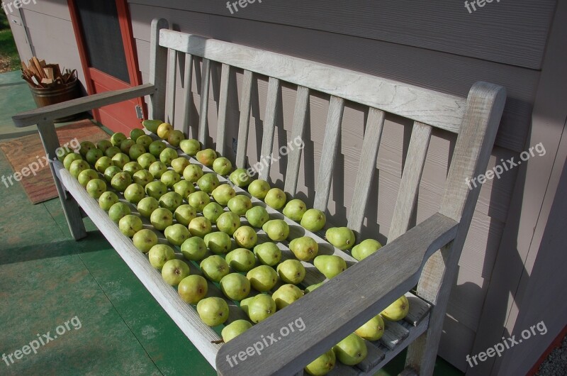 Pears Pears On Bench Fruit Green Pears Fall