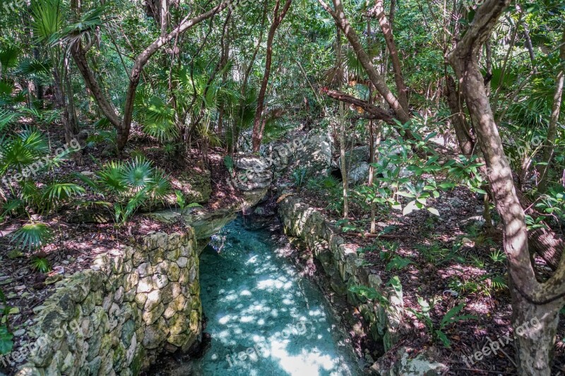 Xcaret Cancún Mexico Forest River