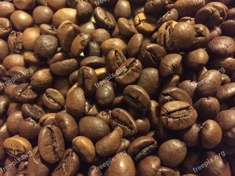 Coffee Grain Brown Roasting Free Photos