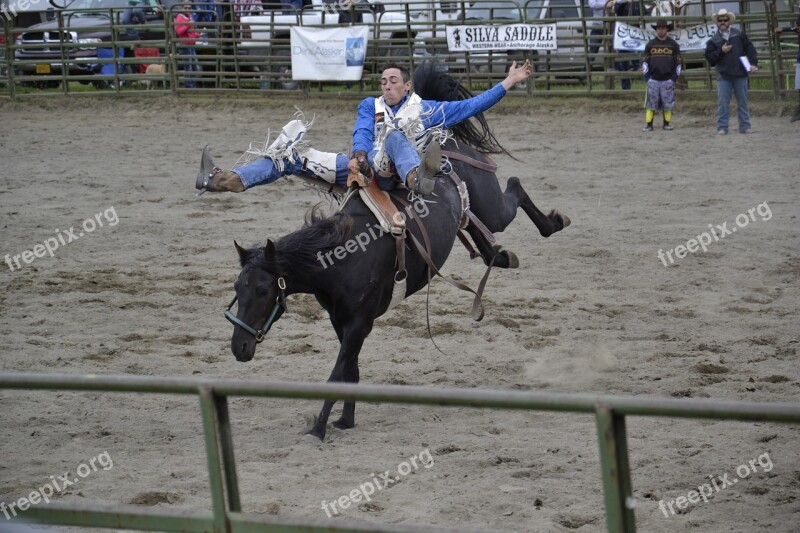 Rodeo Horse Alaska Cowboy Equestrian